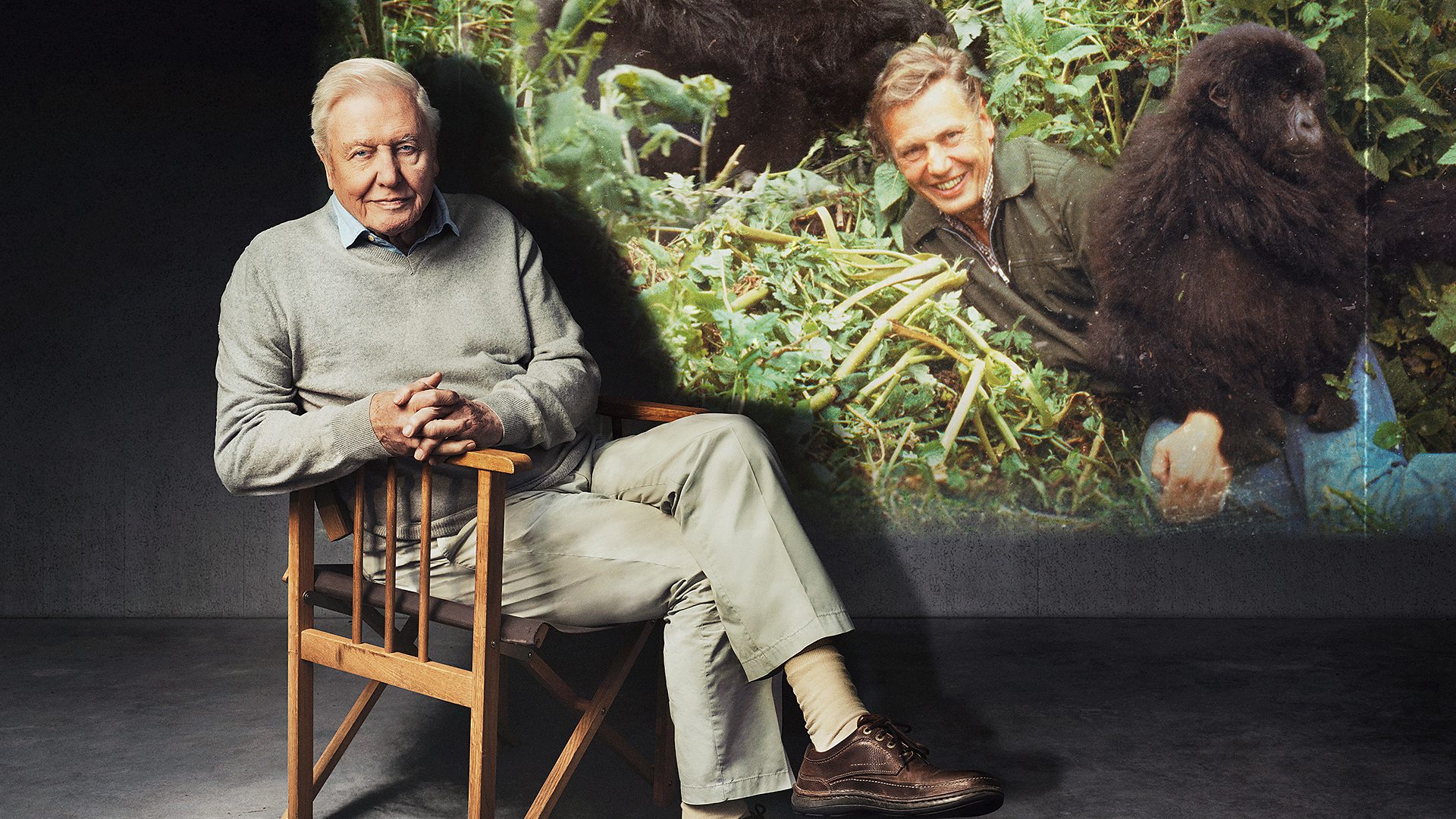 BBC Honors David Attenborough at 100: New Shows Revealed